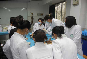 重庆医药卫生学校在什么地方